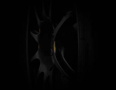 lotus-wheel-black